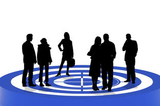 jiuyou-中国篮球联赛青训体系建设与发展趋势,篮球青训队是什么意思