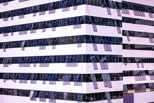 jiuyou-中国篮球联赛青训体系建设与发展趋势,篮球青训队是什么意思