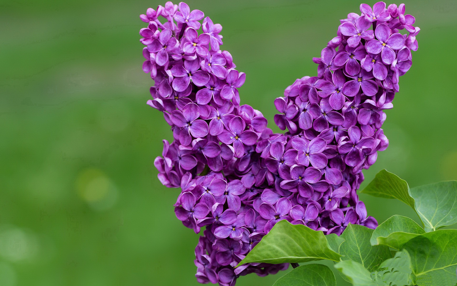 九游娱乐登录-中国香港队的表现让人惊讶:国际乒联混合团体世界杯深度评析,香港乒乓球队名单