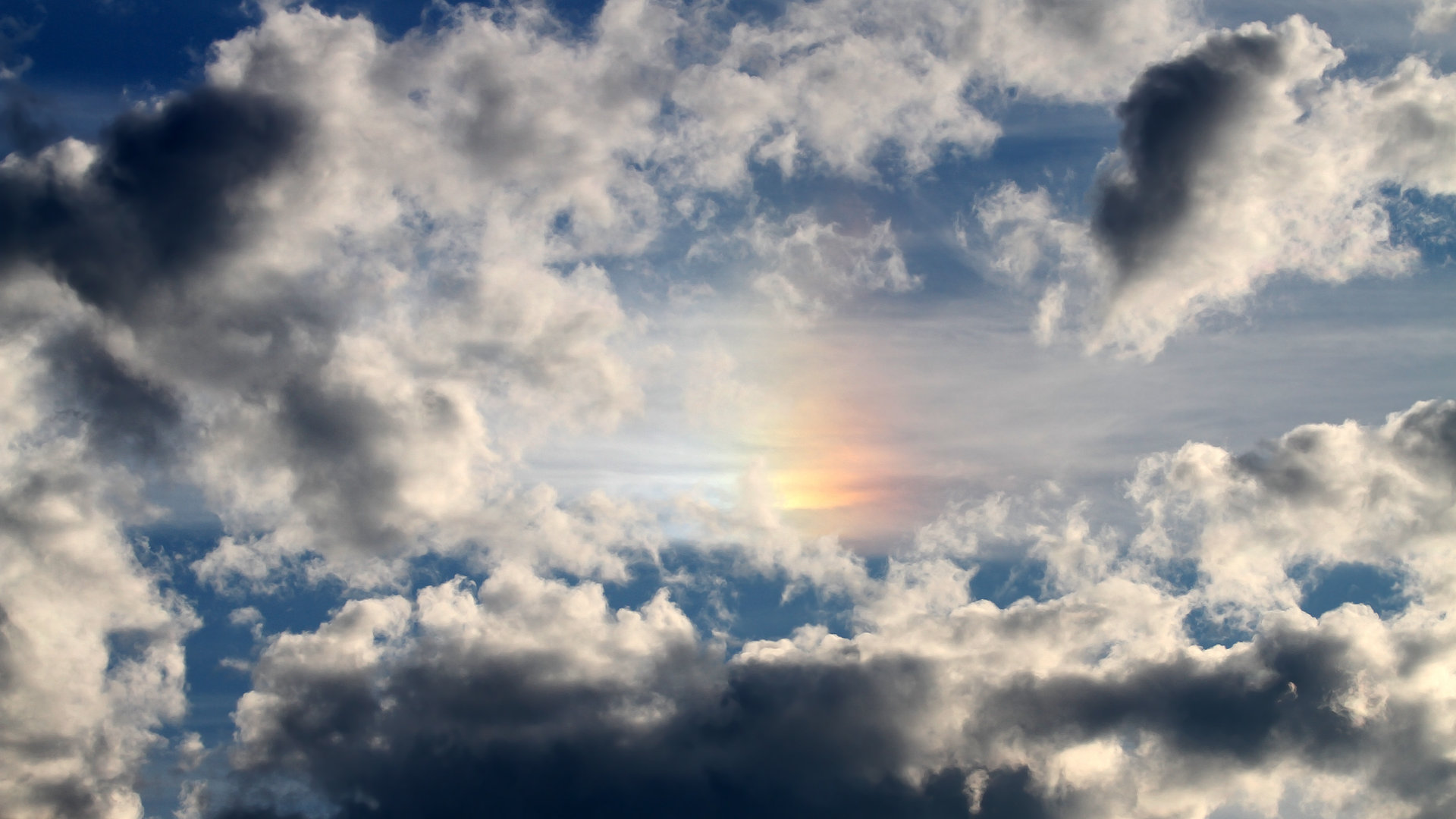 J9九游会-南非羚羊队:其强大防守与快速反击让对手难以应付,南美羚羊