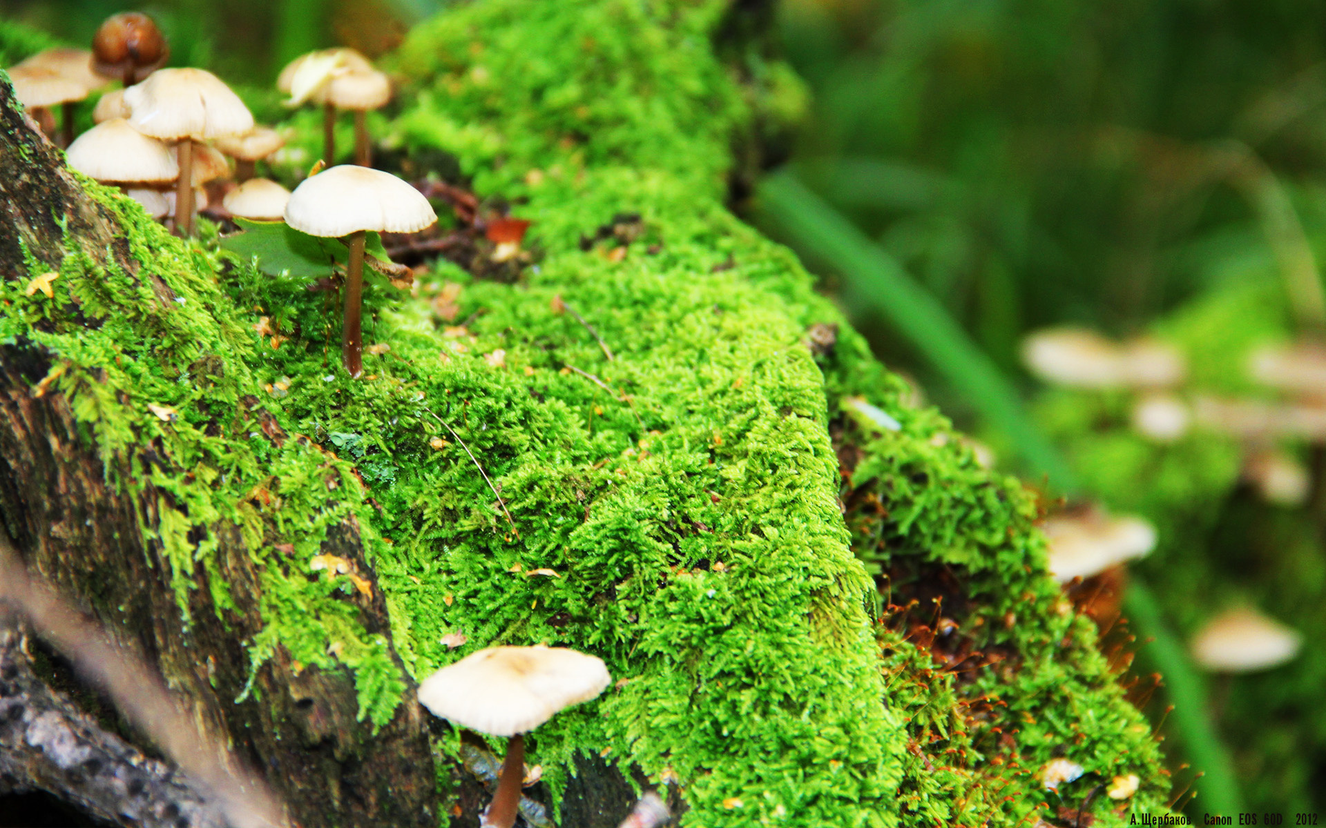 九游娱乐比分网-女篮设立团队协作积分系统促进整体竞争氛围,女篮分组积分