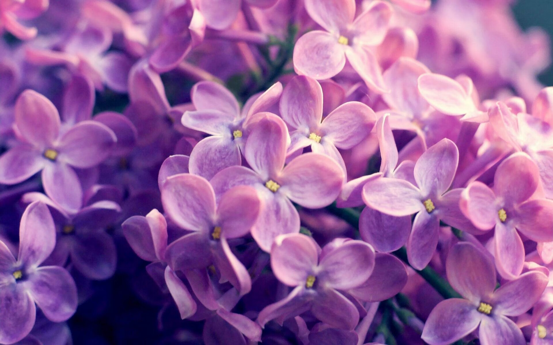 九游体育app-李冰洁泳池对决 展现中国选手韧性，李冰洁泳装