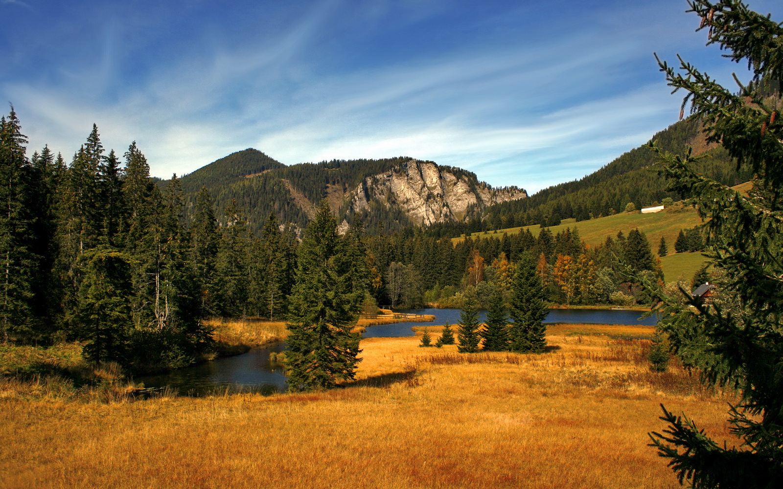 九游注册-林丹与小学师生互动传授技巧，林丹的老师