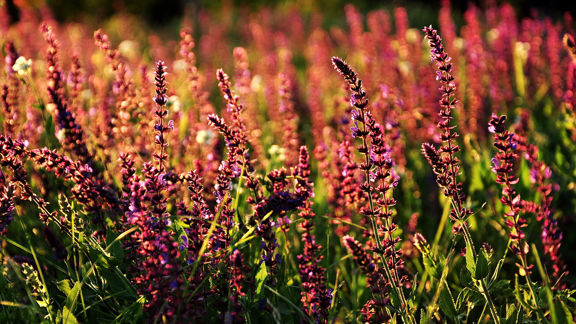 九游娱乐注册-每一次冲刺都是极限挑战，极限挑战冲浪