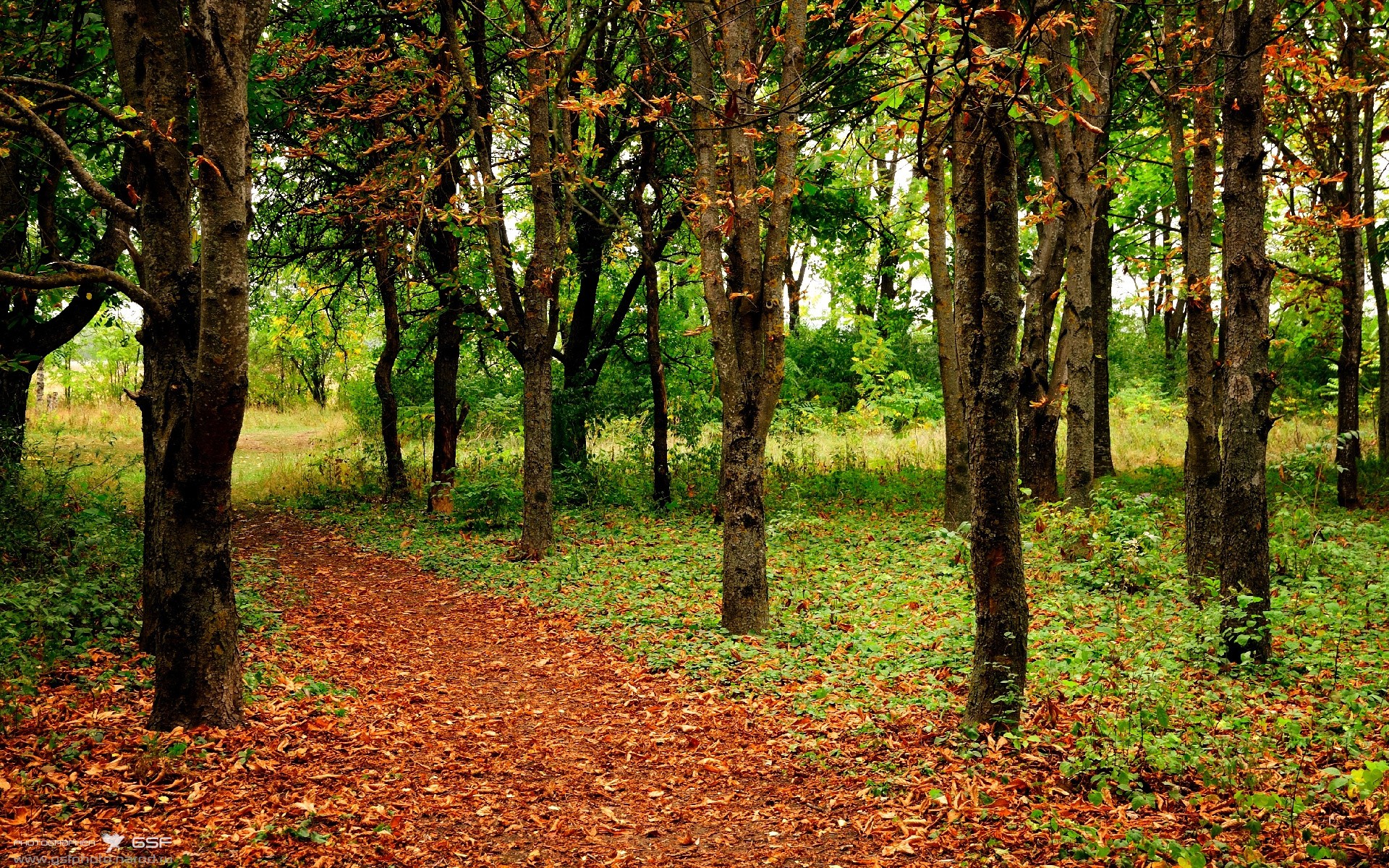 九游体育登录入口-爱尔兰男队重建期展现强劲实力，爱尔兰男子组合乐队