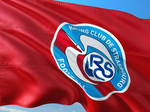 九游体育登录入口-荷兰队在欧洲预赛中继续保持领先优势