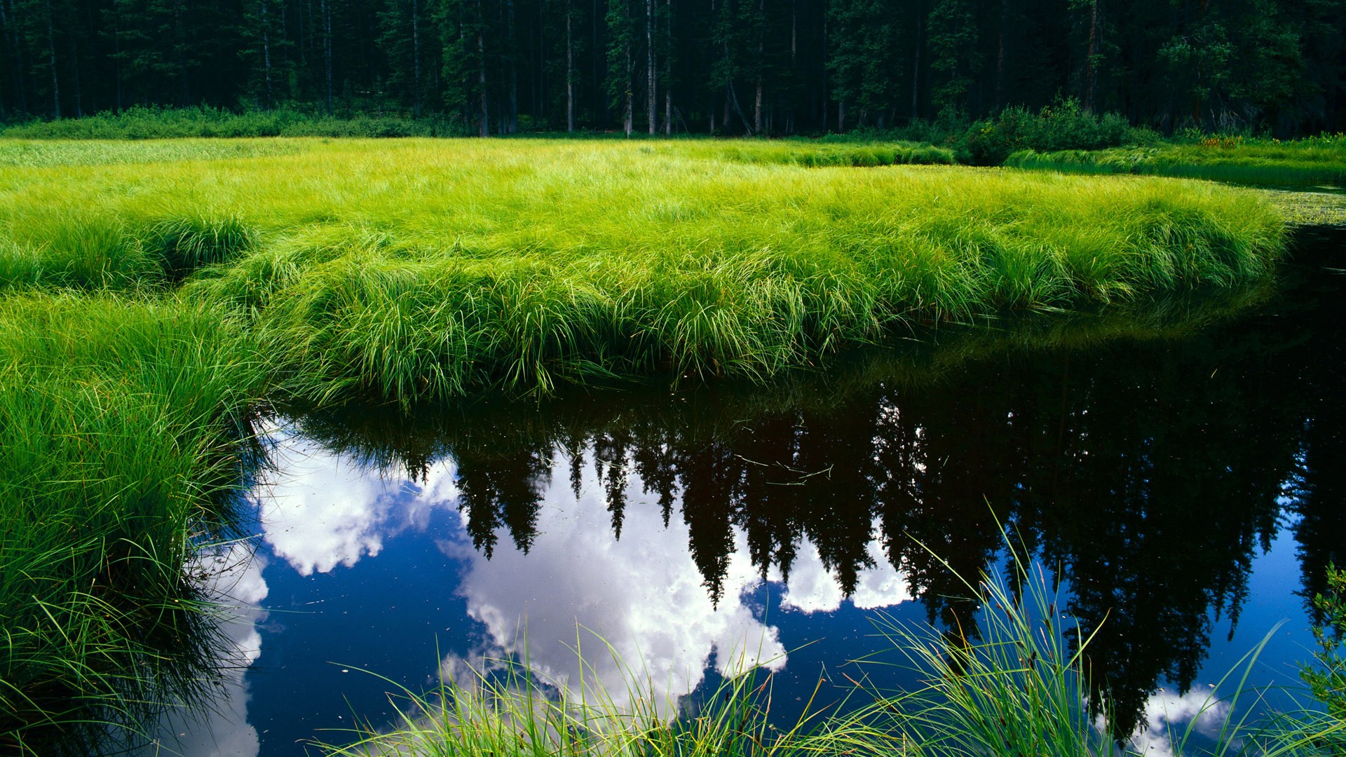 九游体育网站入口-陈艺文刷新个人最好成绩，陈艺文比赛视频