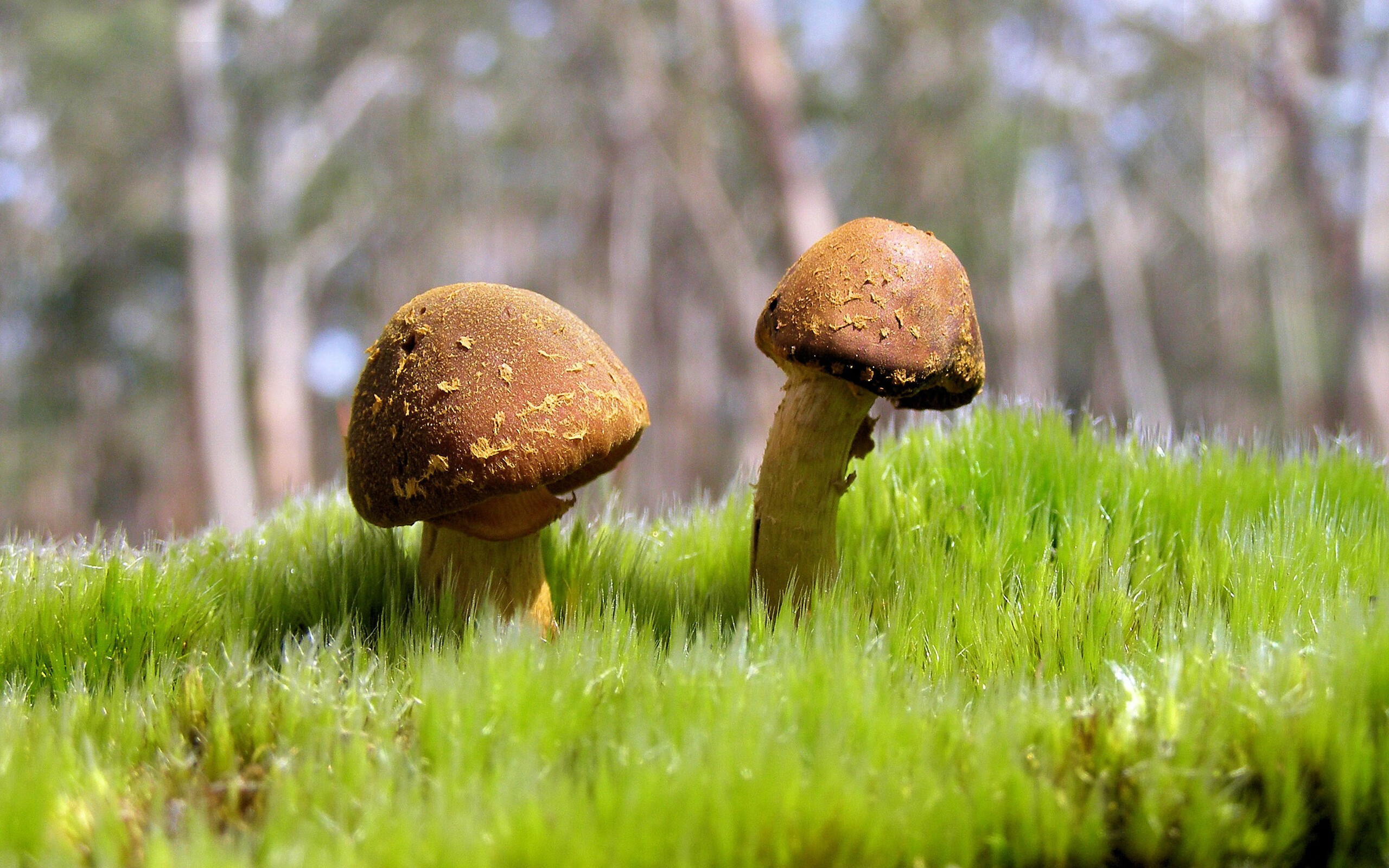 九游体育网站入口-黄蜂防守战术调整后场控更具压迫力，黄蜂主动攻击